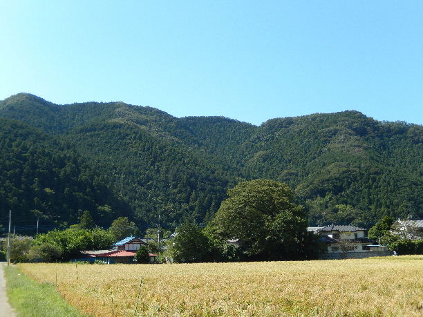 c0051112_12155120.jpg