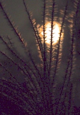 c0248013_22223881.jpg