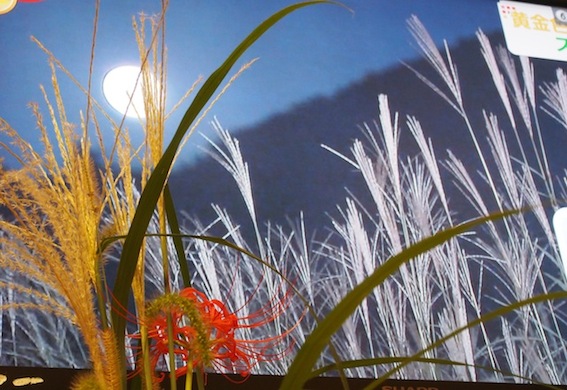 c0248013_22275125.jpg