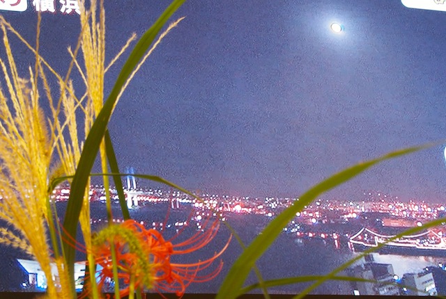 c0248013_2232557.jpg