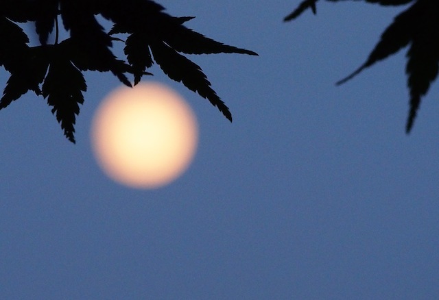 c0248013_229501.jpg