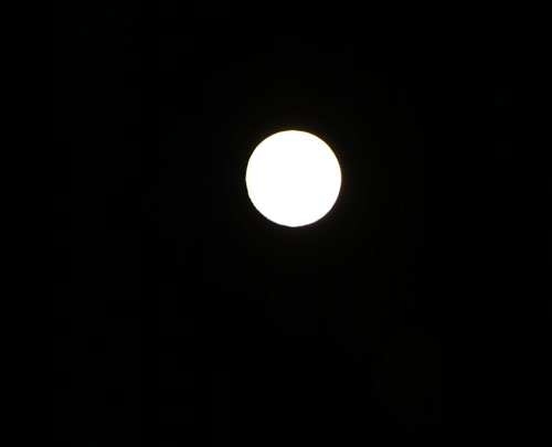 中秋の名月_e0048413_20221822.jpg