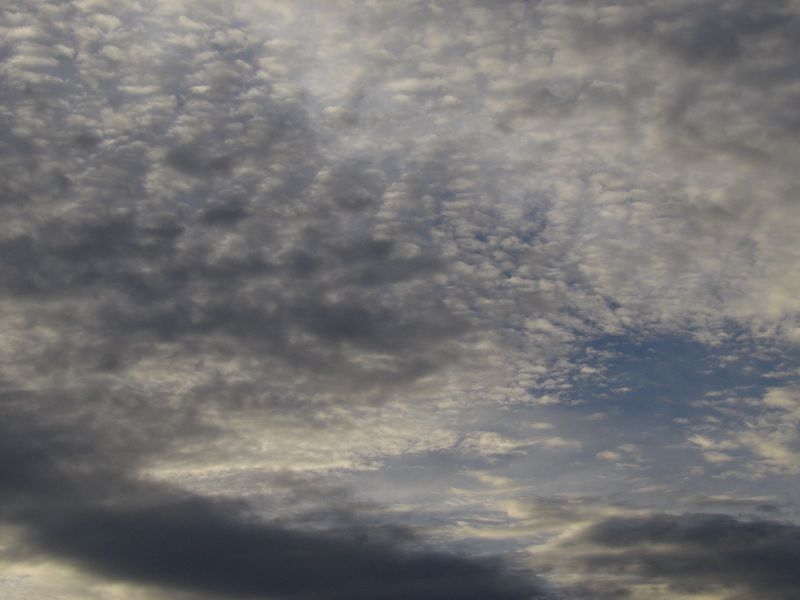 今日も夕日は見えず_c0025115_18563254.jpg
