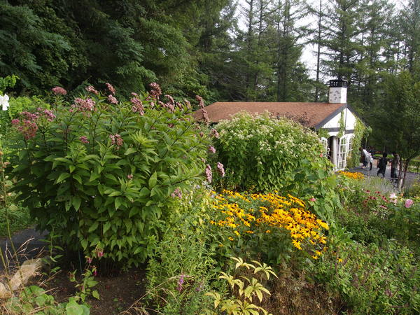 d0183417_039336.jpg