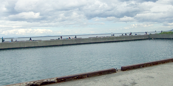 a0155319_99153.jpg