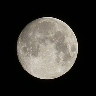 a0260019_241567.jpg