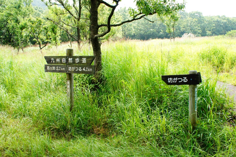 b0291820_12285350.jpg