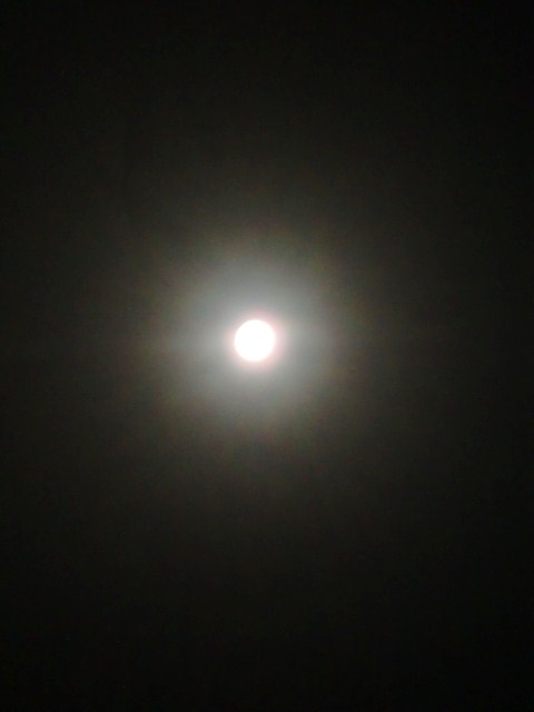 c0220724_2364280.jpg
