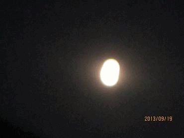 d0065324_2138217.gif