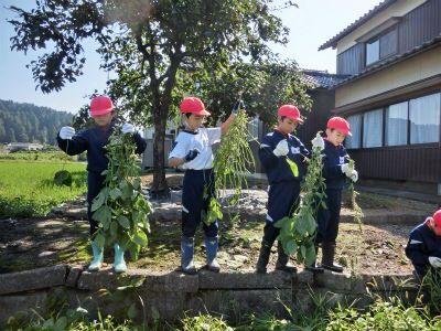 南中山小学校様の枝豆収穫体験☆_e0061225_11554858.jpg