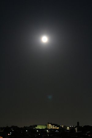 e0108126_20575277.jpg