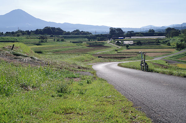 曼珠沙華のふるさと・南部町_f0007926_1141370.jpg