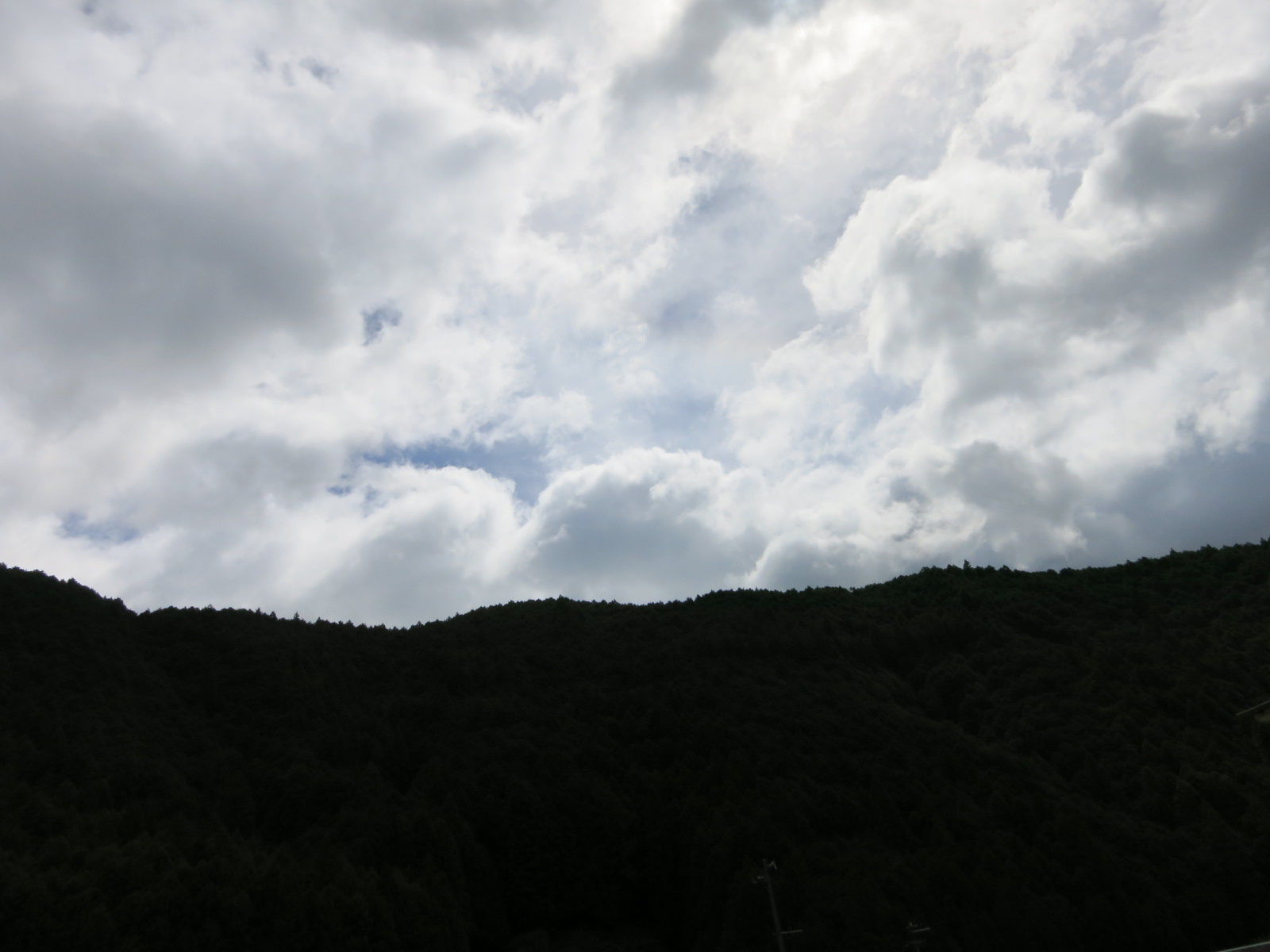 e0259727_143944.jpg