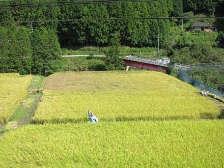 e0259727_1441583.jpg