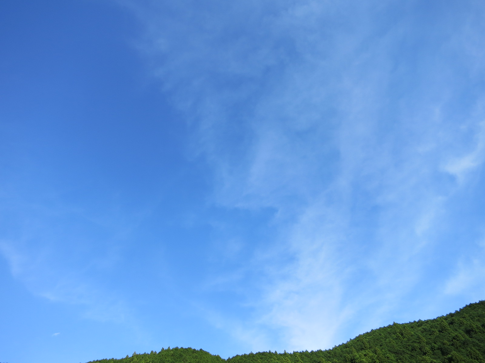 e0259727_1461117.jpg