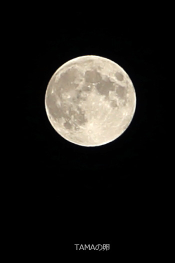 c0024729_2036591.jpg