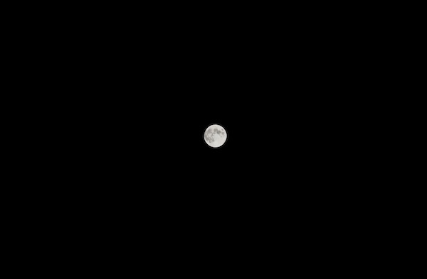 名月_b0172633_215389.jpg