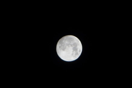 b0169238_21192736.jpg