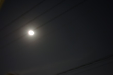 b0169238_21192912.jpg