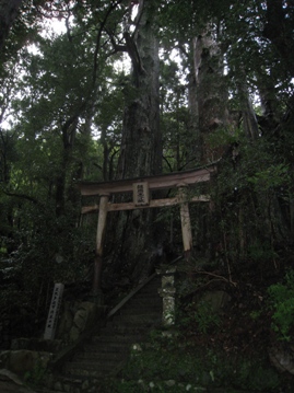 熊野古道　　雨の中　発心門王子から熊野本宮へ_c0077338_64852100.jpg