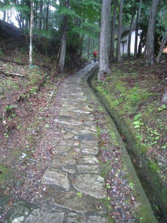 熊野古道　　雨の中　発心門王子から熊野本宮へ_c0077338_6524112.jpg