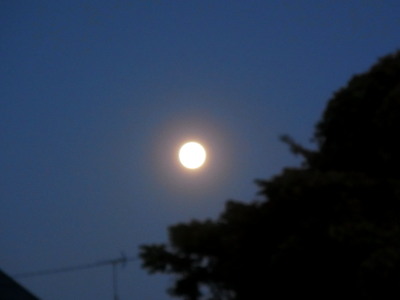 c0097838_18195614.jpg