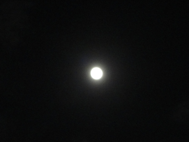 a0116439_2027177.jpg