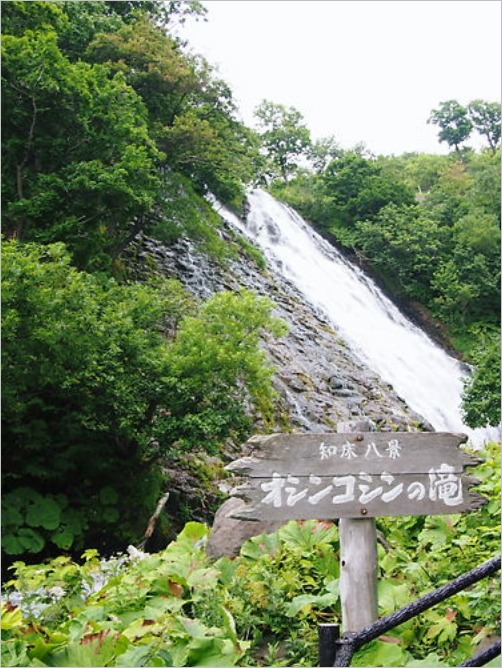 e0022839_2052434.jpg