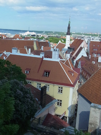 f0206939_22808.jpg