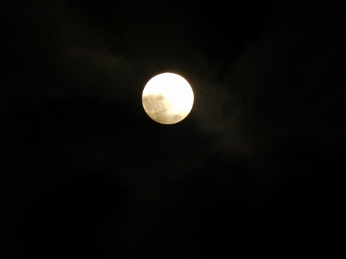 a0048040_232880.jpg