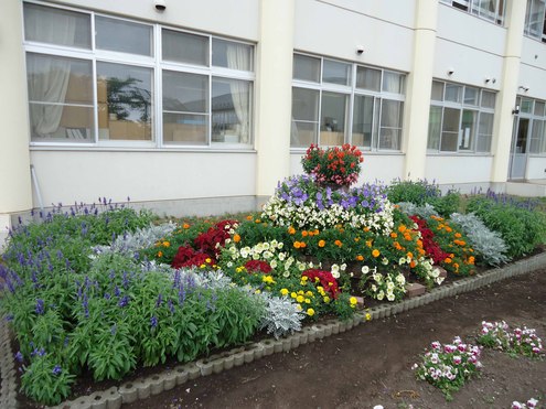 第21回学校花壇コンクール受賞校写真展のご案内 函館市住宅都市施設公社 スタッフブログ 第21回学校花壇コンクール受賞校写真展のご案内 函館市住宅都市施設公社 スタッフブログ