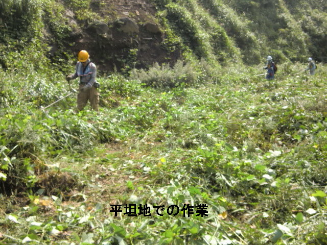 小堀牧野輪地切り報告♪_a0114743_13554466.jpg