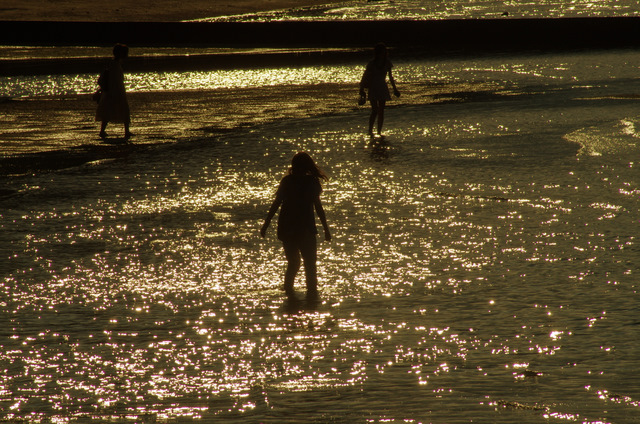 d0186245_24509.jpg
