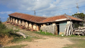 a0151947_11475296.jpg