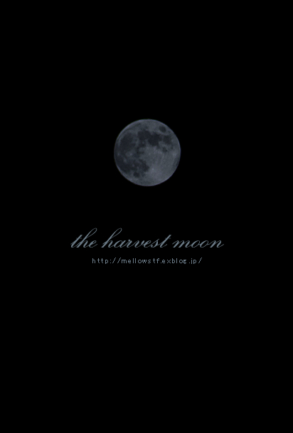 the harvest moon_d0124248_21171980.jpg