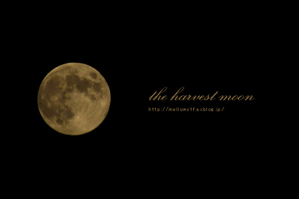 the harvest moon_d0124248_21195420.jpg