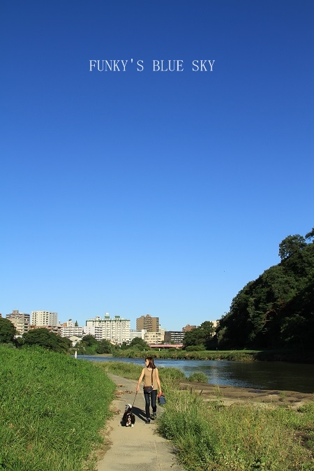 c0145250_10254194.jpg