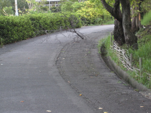 f0245650_8293599.jpg