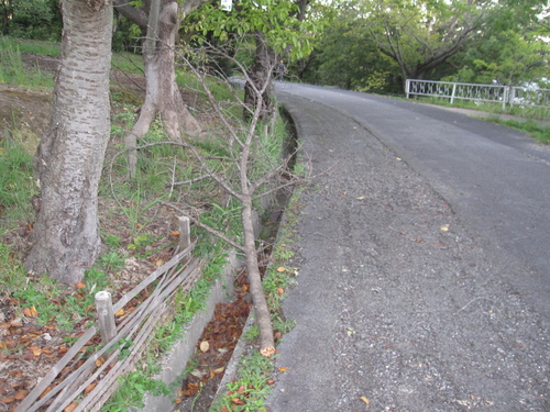 f0245650_8314082.jpg