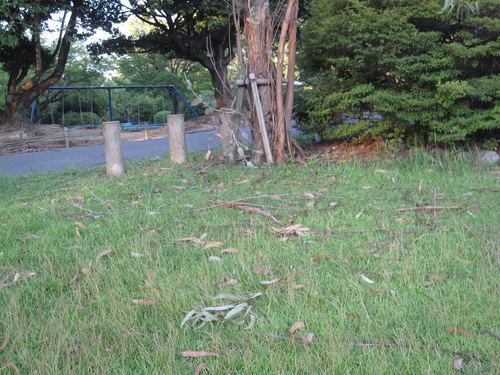 f0245650_8333933.jpg