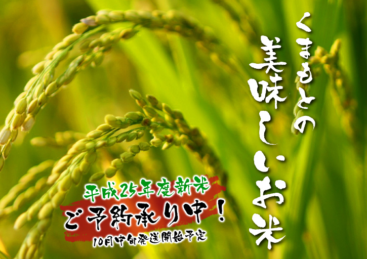 砂田米 今年も順調!!稲穂が黄金色に色付きました!_a0254656_1730266.jpg