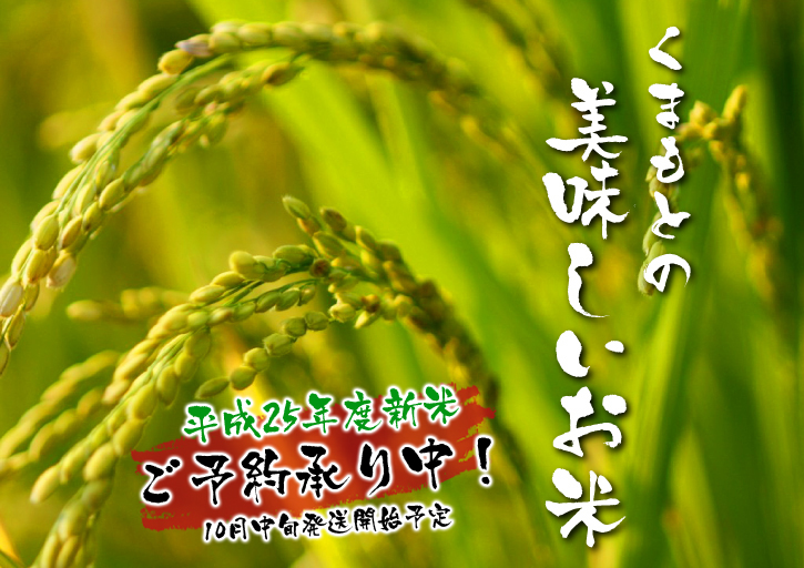 砂田米　今年も順調!!稲穂が黄金色に色付きました！_a0254656_1730266.jpg