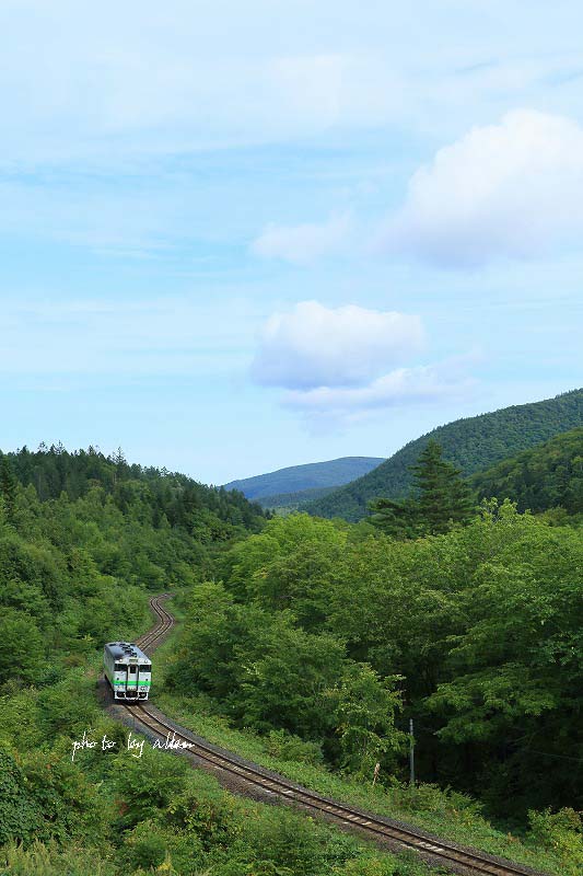 DD51北斗星あんど白鳥大橋_a0039860_18423769.jpg