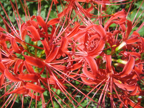 c0108460_21203453.jpg