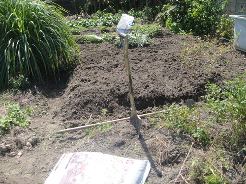 c0108460_2122713.jpg