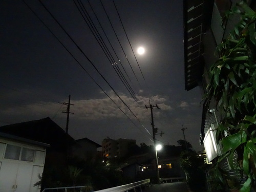 c0108460_21243421.jpg