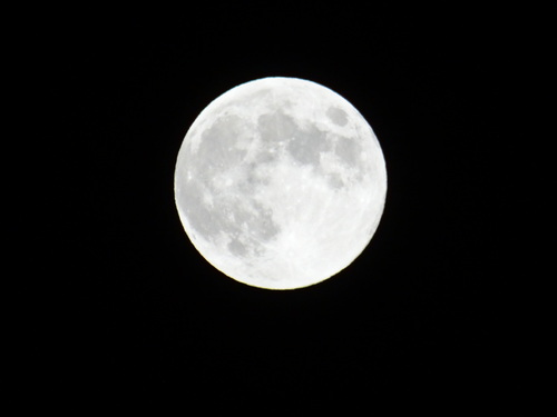 c0108460_21244696.jpg