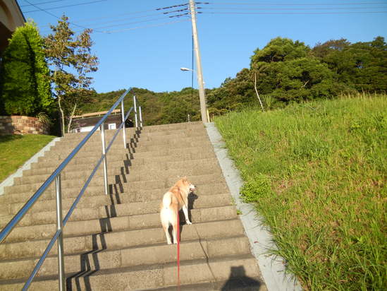 ’13,9,19(木)歯痛も湿疹もなんでも亀田へ~!_f0060461_14535384.jpg