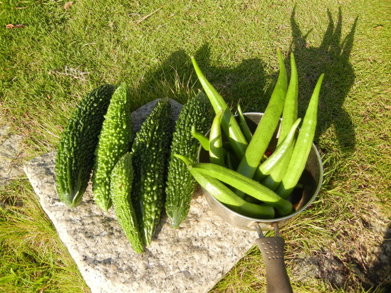 ’13,9,19(木)歯痛も湿疹もなんでも亀田へ~!_f0060461_14561350.jpg