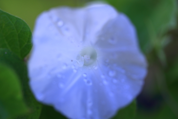 b0272368_9382033.jpg